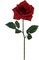 24-Pack: Open Rose Stem with Realistic Silk Foliage by Floral Home®